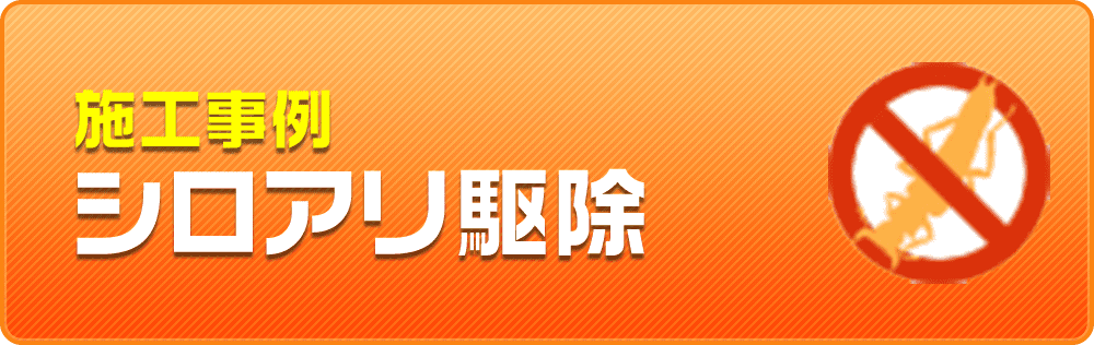 施工事例 シロアリ駆除