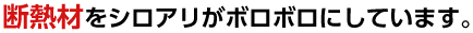 断熱材をシロアリがボロボロにしています。