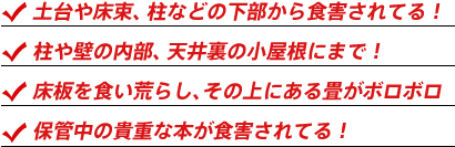 ・土台や床束、柱などの下部から食害されてる！ ・柱や壁の内部、天井裏の小屋根にまで！ ・床板を食い荒らし、その上にある畳がボロボロ ・保管中の貴重な本が食害されてる！