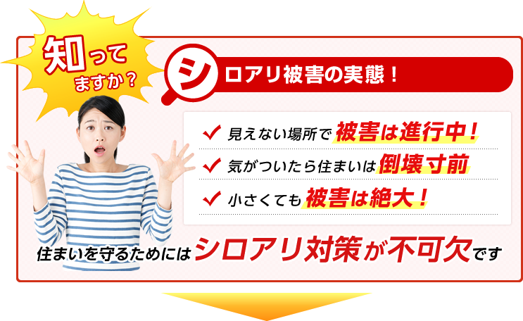 知ってますか？ シロアリロアリ被害の実態！ 見えない場所で被害は進行中！ 気がついたら住まいは倒壊寸前 小さくても被害は絶大！ 住まいを守るためにはシロアリ対策が不可欠です